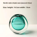 Axyaa Glass Vase: Elegant Decor for Living Room, Dining Table, Fresh Flowers & Hydroponics