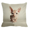 Cute Axyaa Sphinx Cat Cushion Cover 45X45cm - Home Sofa Decoration Pillowcase