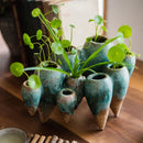 Axyaa Abstract Tooth Flower Pot: Artistic Ceramic Vase for Terrarium Home Decoration