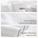 Axyaa Mulberry Silk Comforter Queen Size All Season Luxury Bedding