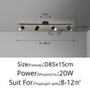 Axyaa Modern Ceiling Light with Spotlight for Home Indoor Decor