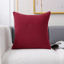 Axyaa Soft Plush Velvet Cushion Cover in Various Colors 45x45