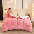 Axyaa Double-Sided Milk Wool Lamb Wool Warm Thick Winter Quilt Core