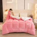 Axyaa Double-Sided Milk Wool Lamb Wool Warm Thick Winter Quilt Core