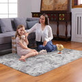 Axyaa Soft Shaggy Area Rug for Living Room and Bedroom Floor Decor