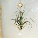 Axyaa Gold Suncatcher Air Plant Holder with Crystal Home Decor