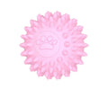 Axyaa Interactive Chewing Ball for Dogs - Teeth Cleaning & Boredom Relief Pet Toy