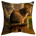 Axyaa Cat Design Sofa Cushion Cover 45x45cm