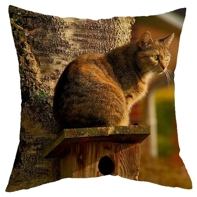 Axyaa Cat Design Sofa Cushion Cover 45x45cm