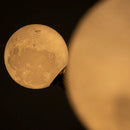 Nordic Gold Moon Chandelier for Living Room, Hotel & Baby - Axyaa Brand
