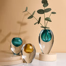 Axyaa Transparent Thick Bottom Glass Vase for Hydroponic Flower Arrangement