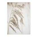 Nordic Reed Grass Landscape Canvas Wall Art Print for Living Room Decor by Axyaa