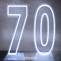 Axyaa Neon Double Digit Acrylic Digital Light for Birthday Party