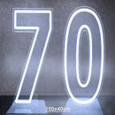 Axyaa Neon Double Digit Acrylic Digital Light for Birthday Party