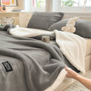 Axyaa Milk Velvet Queen Size Bed Blanket for Warmth & Comfort