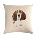 Axyaa Dog Cushion Covers Collection