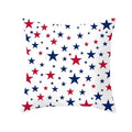 Axyaa Independence Day Decorative Pillowcases for Home Sofa Chair