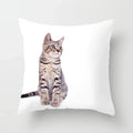 Axyaa Cartoon Animal Design Pillowcase 45*45cm