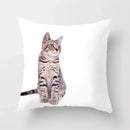 Axyaa Cute Animal Print Pillow Cover - 45X45cm