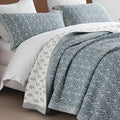 King Size Cotton Quilt Bedding Set, Botanical Pattern, Lightweight Quilted Bedspread - Axyaa