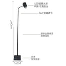 Axyaa Sunset Halo Double-Sided LED Floor Light