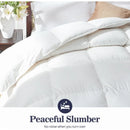 Axyaa Luxury Queen Size Down Feather Comforter - All Season Fluffy Duvet Insert