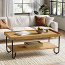 Axyaa Solid Wood Coffee Table, 2-Tier Rectangular Center Table with Metal Legs