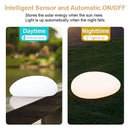 Axyaa Solar LED Stone Lamp for Outdoor Patio Garden Lawn, Waterproof & Multifunctional
