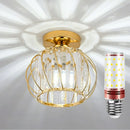 Axyaa Glass Shade LED Ceiling Lights in Black/Gold for Modern Home Decor.