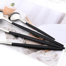 Axyaa Black Silver Stainless Steel Cutlery Set Dinnerware Flatware Fork Knife Spoon