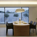 Axyaa Modern LED Metal Pendant Lights Black White Chandeliers for Home Restaurant