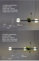 Axyaa LED Chandelier Plant Suspension Pendant Light - Black Kitchen Bar Dinning Room