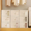 Axyaa Underwear and Socks Storage Box Organizer for Wardrobe and Bedroom Drawers
