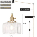 Axyaa Glass Pendant Light E27 Base Adjustable Ceiling Lamp for Living Room