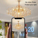 Axyaa Golden Crystal Chandelier for Luxurious Living Room Décor