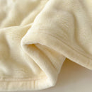 Axyaa Silky Milk Velvet Queen Size Plush Blanket for Sofa Bed