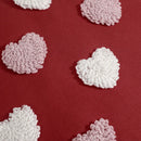 Axyaa Heart Embroidery Pillow Cover for Sofa Living Room Decor