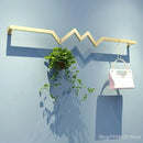 Axyaa Golden Iron Ladder Shelf Clothing Rack of Modern Design