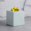 Axyaa Solid Color Ceramic Snack Plate - Simple Kitchen Serving Tray