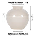 Axyaa Minimalist Ceramic Vases for Stylish Decor or Hydroponic Plants