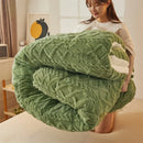 Axyaa Milk Fleece Double-sided Winter Quilt-Core Warm Arctic Fleece Quilt