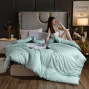 Axyaa Soybean Quilt: 4 Season Warmth, Single/Double, Thickened, Spring/Autumn/Winter