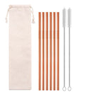Axyaa Stainless Steel Straws Set - Eco-Friendly Reusable Portable Travel Essential