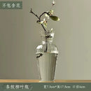 Axyaa Transparent Glass Zen Vase for Living Room Decor and Hydroponic Plants