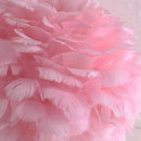 Axyaa Feather Table Lamp: Elegant Decoration for Home, Living Room, Bedroom