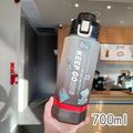 Axyaa 700ml Gradient Tea Filter Water Bottle - Portable & Cute for Girls