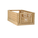 Axyaa Foldable Plastic Storage Basket for Stationery, Cosmetics, Toys & Makeup