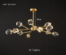 49382686458135|49382686621975