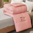 Axyaa Silk Quilt: Warm & Cozy All-Season Blanket