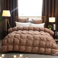 Axyaa Luxury Goose Down Quilted Cotton Winter Comforter Blanket